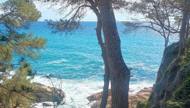 La Sardineta, es un apartamento en la Costa Brava, Palamós 1 minuto de la playa Alquiler temporal mínimo 32 noches - Foto 4