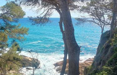 La Sardineta, es un apartamento en la Costa Brava, Palamós 1 minuto de la playa Alquiler temporal mínimo 32 noches - Foto 4