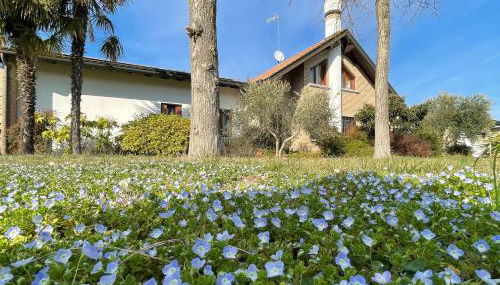 Villa Marinella Apartments - Locazione Turistica - Foto 2, Garden, Garden view