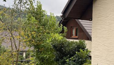 Domki Oberwanka - Foto 4
