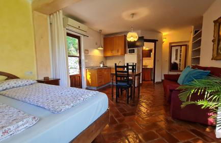 Tropical Studio - Foto 18