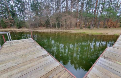 LEŚNY KĄCIK - Foto 59