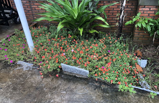 Bau Bi Mini Farmstay Mekong - Tien Giang - Foto 46