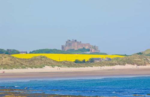 Sunnie Cottage - Photo 24