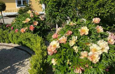 Landgut zur Mühle - Foto 22