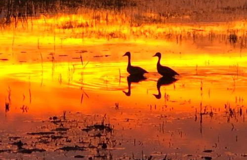 Cozy Lake Front Cottage - Photo 11