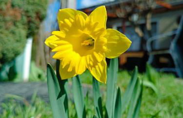 Holiday Home Schloßblick - Foto 48