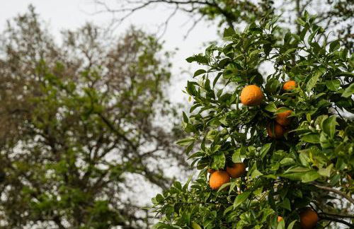 GuestReady - Quinta do Sol - Foto 13