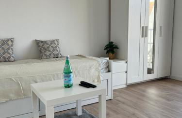 Magnifique F1 à Lingolsheim - Foto 9