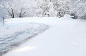 Giardino di Potentino - Foto 18