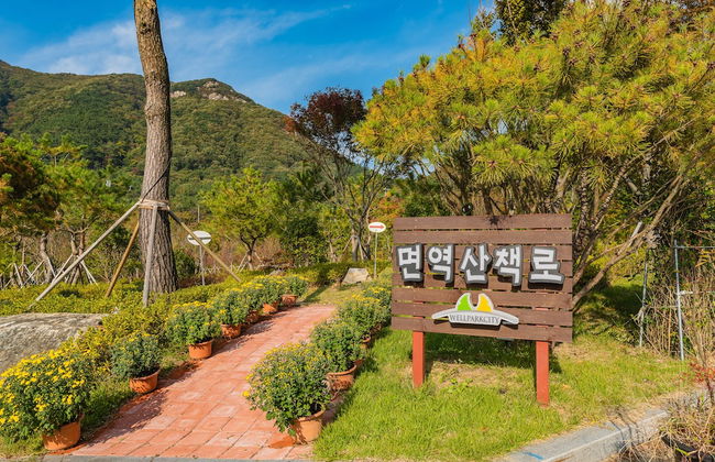 GoChang Well Park City Healing County - Photo 35