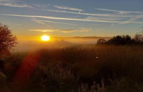 Weingut Will & Würz Riesling - Foto 12