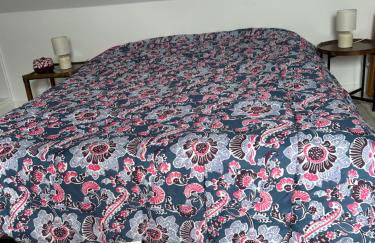 Gite indépendant 16 Personnes proche plage - Foto 51