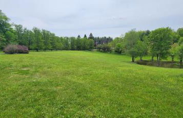 13-Acre Private Estate, Private Lake, Private Golf Range, Private Forest & Hiking Trails - Foto 68