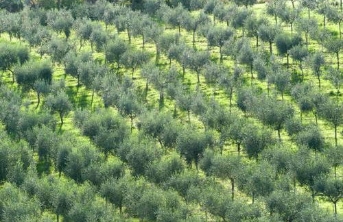 Farmhouse in Giano dell'Umbria - Foto 22