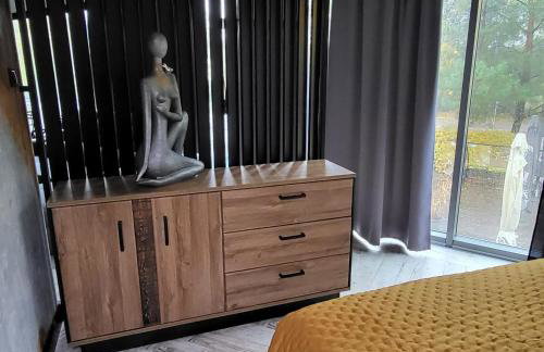 Apartamenty Terminal Charzykowy - Foto 52