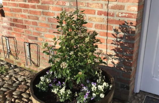 Favorite Place Modern Retreat - Foto 20