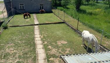 Michelles FeWo - Photo 2, Garden, Garden view