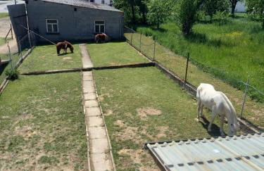 Michelles FeWo - Foto 2