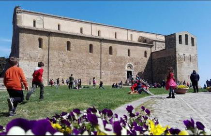 Agrumeto Costa dei Trabocchi - Foto 35