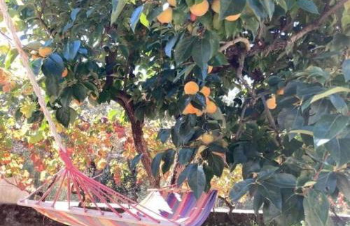 Casa do Vale - DOURO - Photo 26