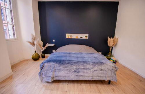 Chez Robin T3 Castelsarrasin - Foto 7