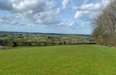 Broughanore Lodge - Foto 11