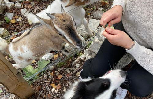 Gite de Claire Fontaine avec vue sur Monflanquin - Foto 9