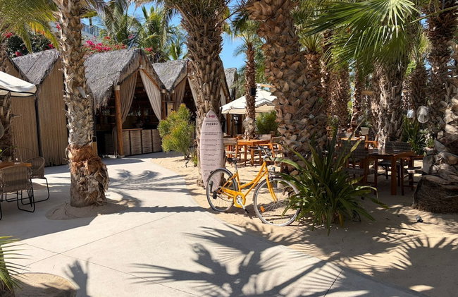 Condo Cortes - Photo 24