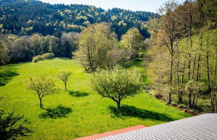 LE GITE DE BRI - Foto 11