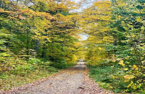 Hill-view Holiday Home in Dankerode near Lake and Hiking - Foto 38