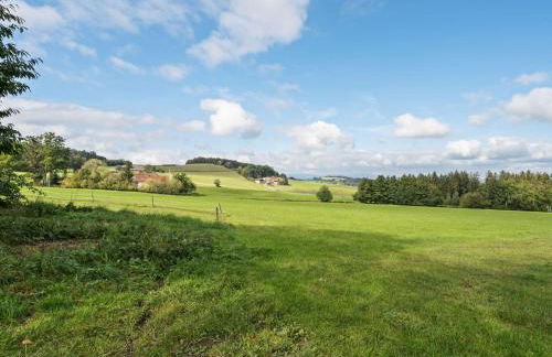 Bauernhof in Spandlberg am Hohe Bogen - Foto 18