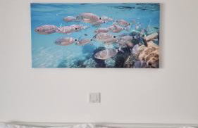 Simuni Delight - Foto 30