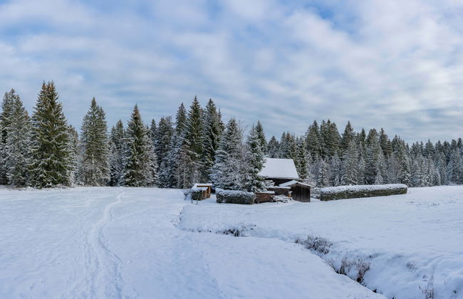 Excursion aux Montagnes Olympiques et à Vrelo Bosne - Photo 1