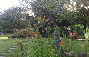 San Processo Agriturismo - Foto 69