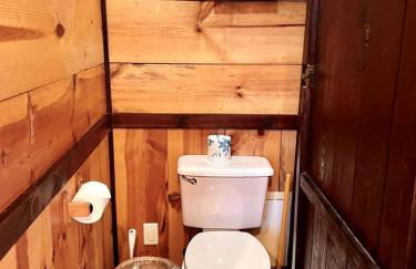 Romantic Ozarks Cabin Rental in Secluded Woodland near Branson, Missouri - Foto 10