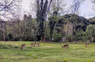 Maurizio nel Borgo Medievale - Foto 21