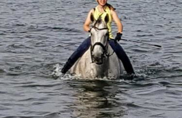 RosenGärtchen - Foto 16