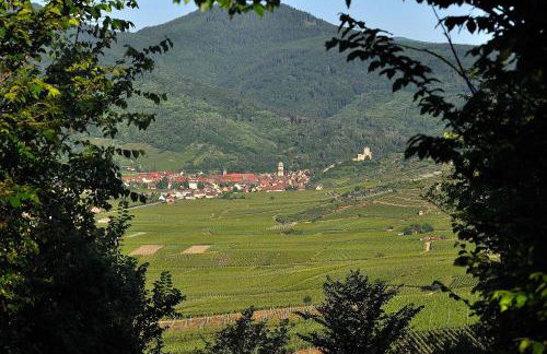 Gite du Vignoble - Foto 8