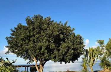 La casa al Rais - Foto 31