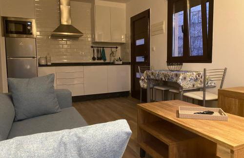 Apartamento Casa Xesteira - Foto 16