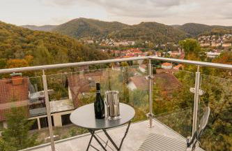 Harz Living - Ferienwohnungen mit Traumblick - Foto 30