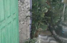 Gruta da Praia 1 - Foto 24