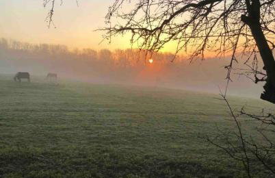 Palm Cottage - Foto 22