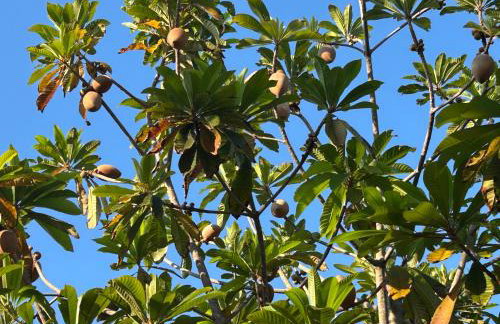 Artistic Retreat, King Suite with Private Balcony! - Foto 59