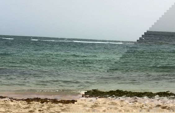 The Dorchester - Foto 67