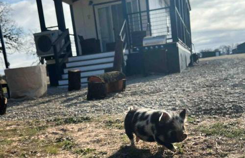 Texoma Getaway - Tiny House on a Pharm - Foto 14