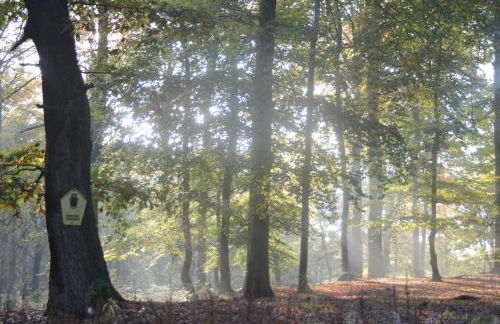 Ferienwohnung Deutschmann - Foto 22