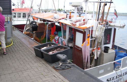 Ferienhaus "Sommerbrise" - Foto 22