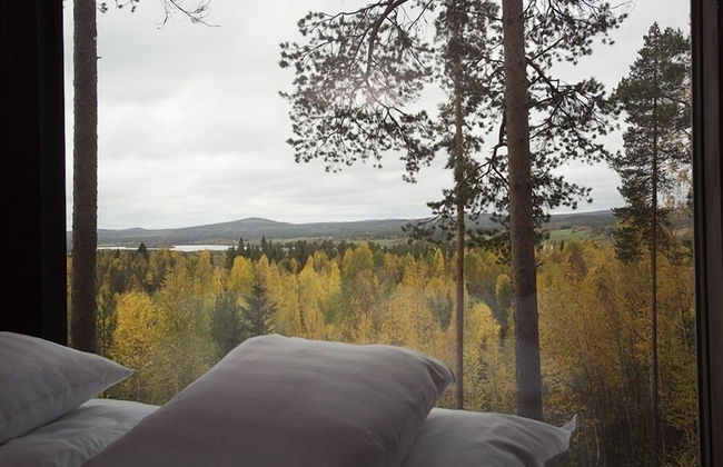 Tree Hotel - Foto 17